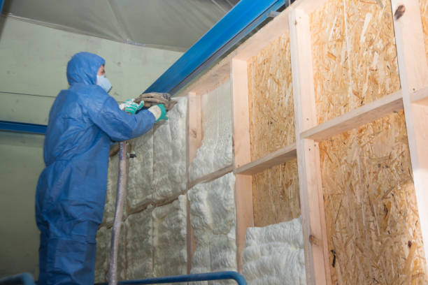 Best Attic Insulation Installation  in Kingman, KS